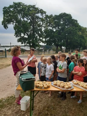 Foto des Albums: Projekttag in Kade