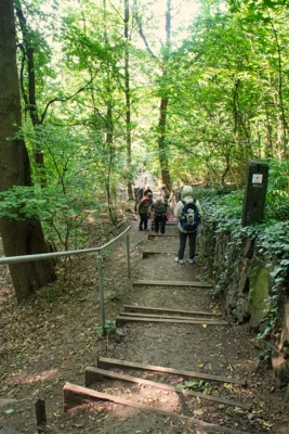 Foto des Albums: Wanderwoche Sächsischer Weinwanderweg (01.07.2026)