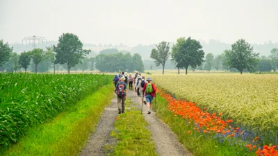 Foto des Albums: Wanderwoche Sächsischer Weinwanderweg (01.07.2026)