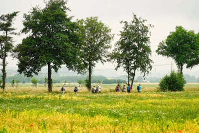 Foto des Albums: Wanderwoche Sächsischer Weinwanderweg (01.07.2026)