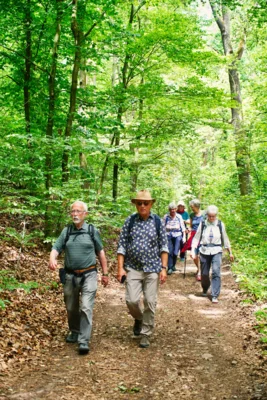 Foto des Albums: Wanderwoche Sächsischer Weinwanderweg (01.07.2026)