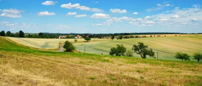 Foto des Albums: Wanderwoche Sächsischer Weinwanderweg (01.07.2026)