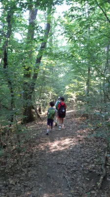 Foto des Albums: Wandertag