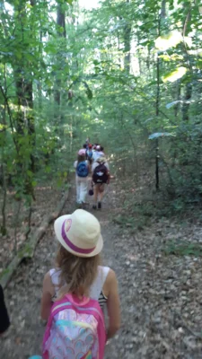 Foto des Albums: Wandertag
