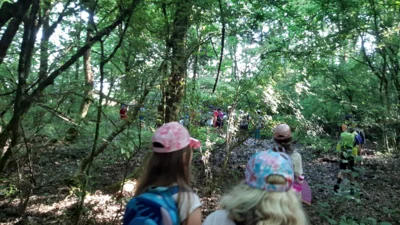 Foto des Albums: Wandertag