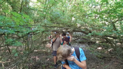 Foto des Albums: Wandertag
