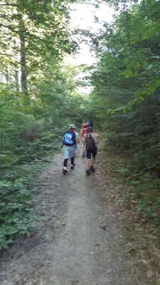 Foto des Albums: Wandertag