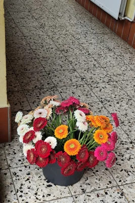Foto des Albums: Verabschiedung der Viertklässler