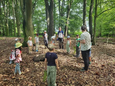 Auf der Waldlichtung 