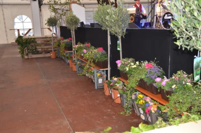 Foto des Albums: Bezirksschützenfest 2025  & 100 Jahre Gau Ammersee