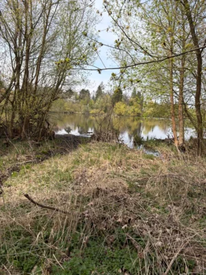 Foto des Albums: Wanderbericht: Tegeler Forst und Tegeler See