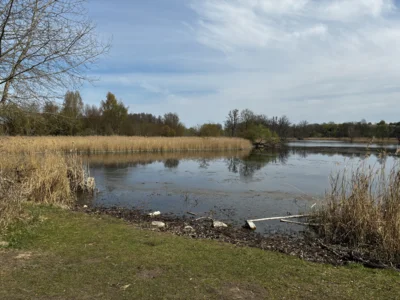 Foto des Albums: Wanderbericht: Tegeler Forst und Tegeler See