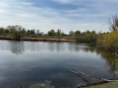 Foto des Albums: Wanderbericht: Tegeler Forst und Tegeler See