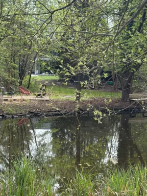Foto des Albums: Wanderbericht: Tegeler Forst und Tegeler See