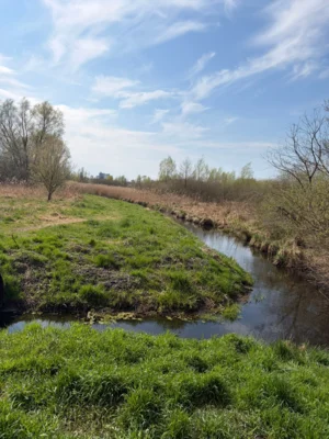 Foto des Albums: Wanderbericht: Tegeler Forst und Tegeler See