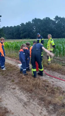Foto des Albums: Nachtwanderung Meyenburg in Stepenitz