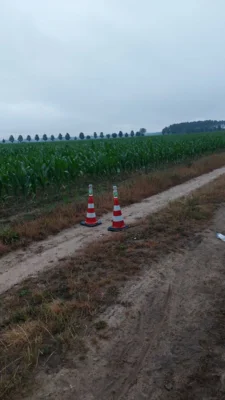Foto des Albums: Nachtwanderung Meyenburg in Stepenitz