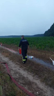 Foto des Albums: Nachtwanderung Meyenburg in Stepenitz