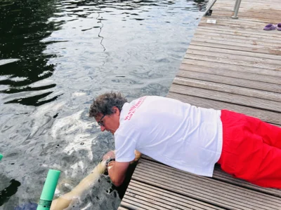 Foto des Albums: Schwimmlager der 3. Klassen 2026