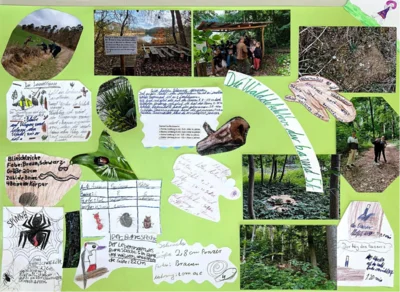 Foto des Albums: Projekt „Walddetektive“