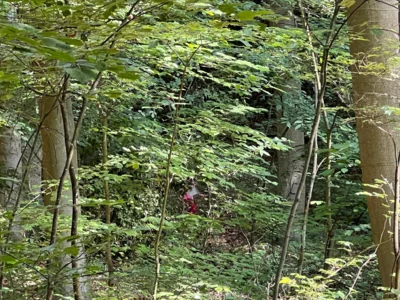 Foto des Albums: Projekt „Walddetektive“