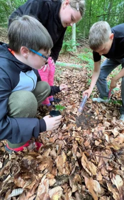 Foto des Albums: Projekt „Walddetektive“