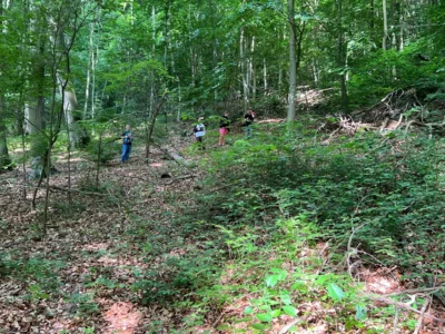 Foto des Albums: Projekt „Walddetektive“