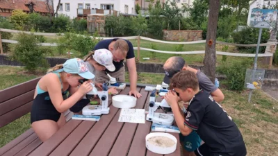 Foto des Albums: Aktionstag 
