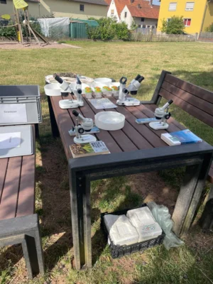 Foto des Albums: Aktionstag 