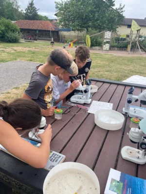 Foto des Albums: Aktionstag 