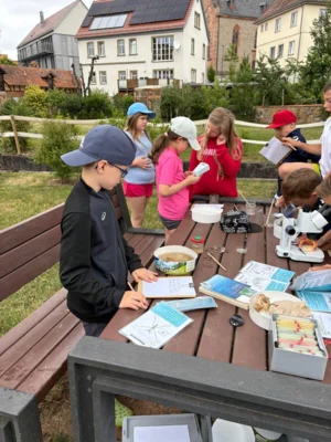 Foto des Albums: Aktionstag 