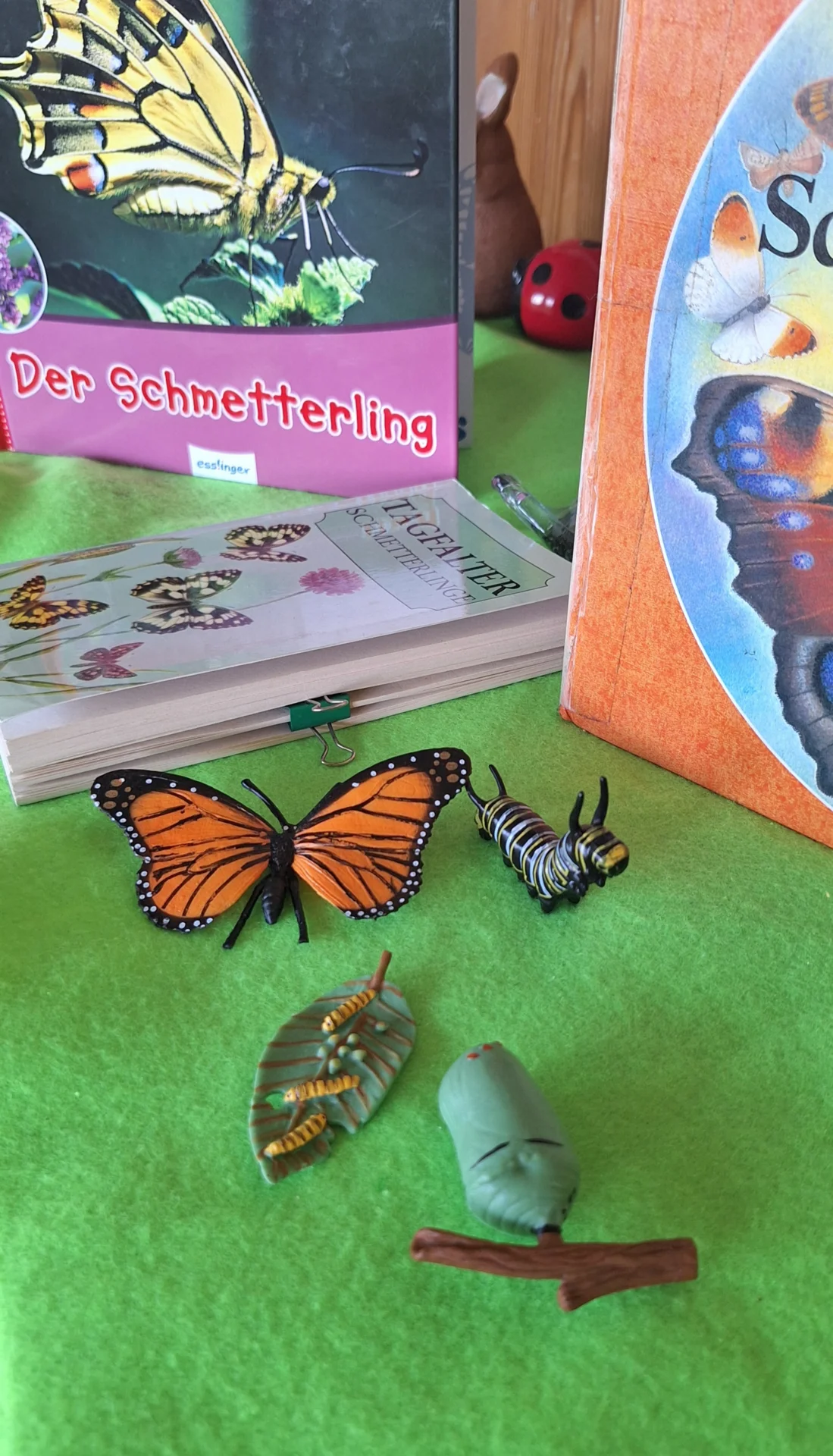 Bild: Bücher und Anschauungsmaterial