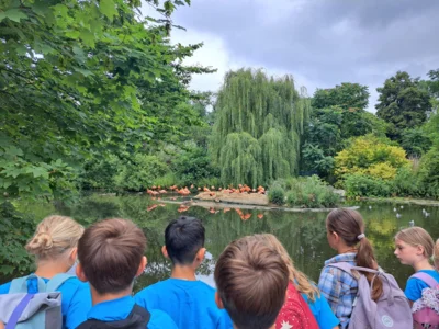 Foto des Albums: Schulausflug Holt in den Krefelder Zoo