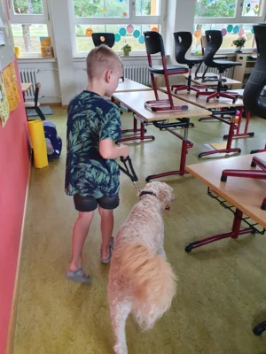 Foto des Albums: Erfolgreiche Schulhund-Prüfung: Ilvy hat gemeinsam mit den Kindern den Praxistest bestanden