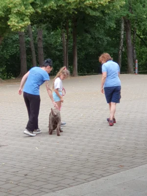 Foto des Albums: Erfolgreiche Schulhund-Prüfung: Ilvy hat gemeinsam mit den Kindern den Praxistest bestanden
