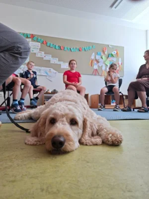 Foto des Albums: Erfolgreiche Schulhund-Prüfung: Ilvy hat gemeinsam mit den Kindern den Praxistest bestanden