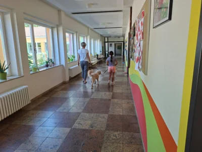 Foto des Albums: Erfolgreiche Schulhund-Prüfung: Ilvy hat gemeinsam mit den Kindern den Praxistest bestanden
