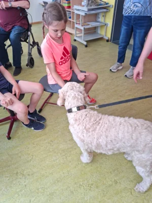 Foto des Albums: Erfolgreiche Schulhund-Prüfung: Ilvy hat gemeinsam mit den Kindern den Praxistest bestanden