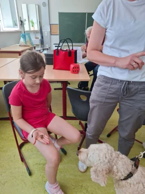 Foto des Albums: Erfolgreiche Schulhund-Prüfung: Ilvy hat gemeinsam mit den Kindern den Praxistest bestanden
