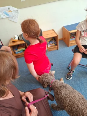 Foto des Albums: Erfolgreiche Schulhund-Prüfung: Ilvy hat gemeinsam mit den Kindern den Praxistest bestanden