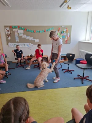 Foto des Albums: Erfolgreiche Schulhund-Prüfung: Ilvy hat gemeinsam mit den Kindern den Praxistest bestanden