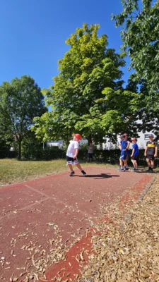 Foto des Albums: Judo-Safari 2026