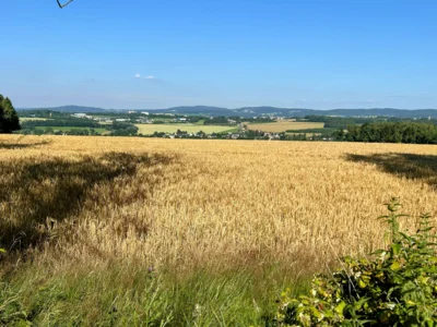 Foto des Albums: 145. Jahre VGW