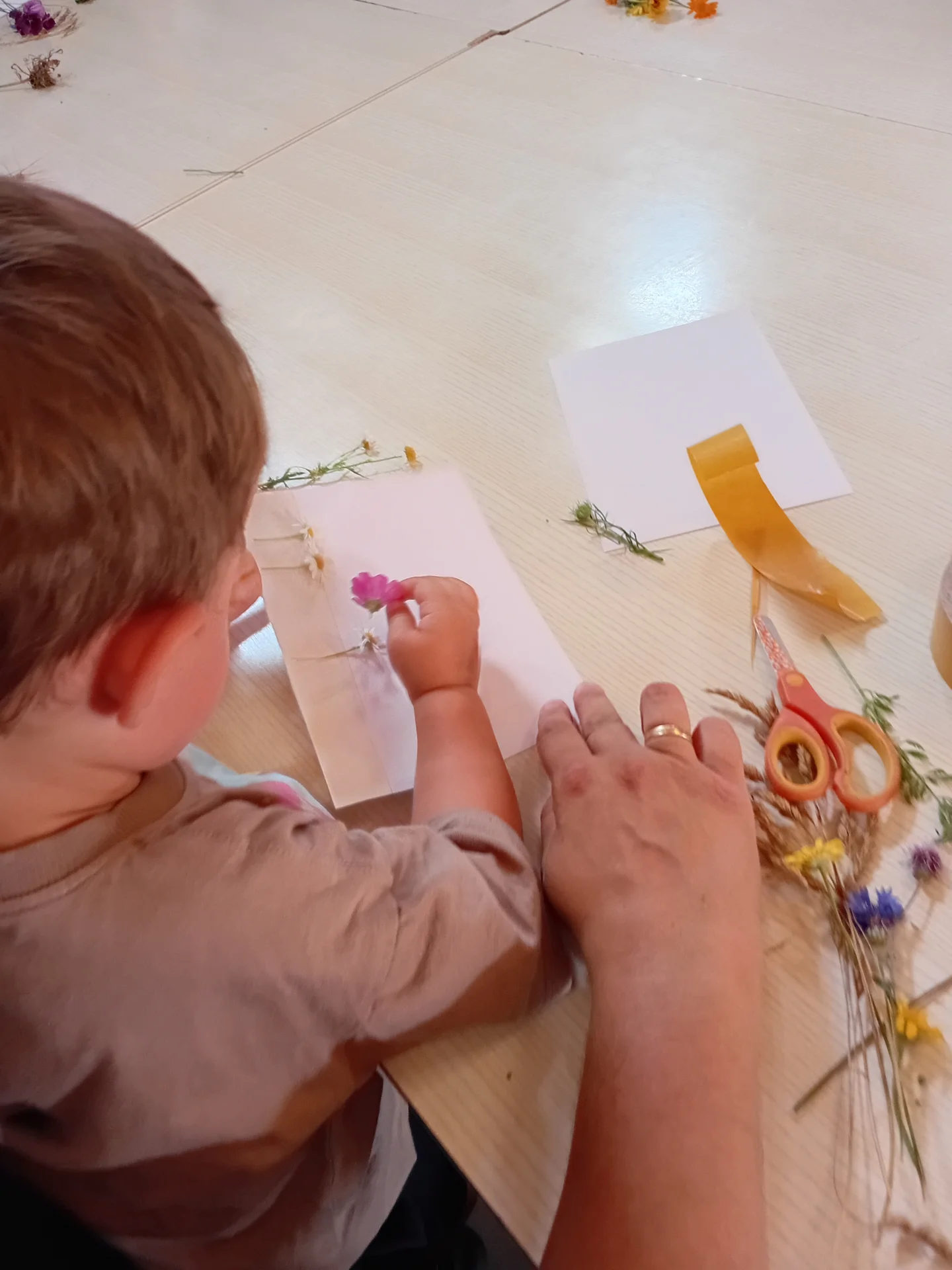Bild: Blumenbilder selbst gestalten