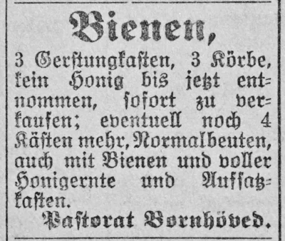 Bienenverkauf der Kirchengemeinde, SKTB 24 08 1926 
