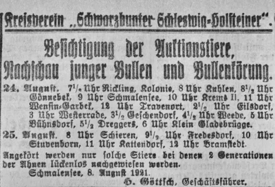 K&ouml;rung der Schwarzbunten, SKTB 10 08 1921 