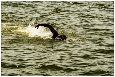 Foto des Albums: Seeschwimmen 2026