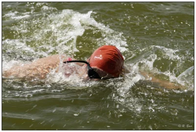 Foto des Albums: Seeschwimmen 2026