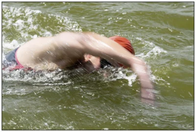 Foto des Albums: Seeschwimmen 2026