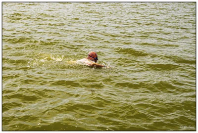 Foto des Albums: Seeschwimmen 2026